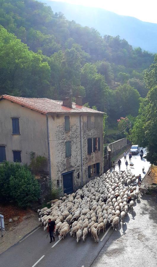 Auberge Cevenole Valleraugue Buitenkant foto
