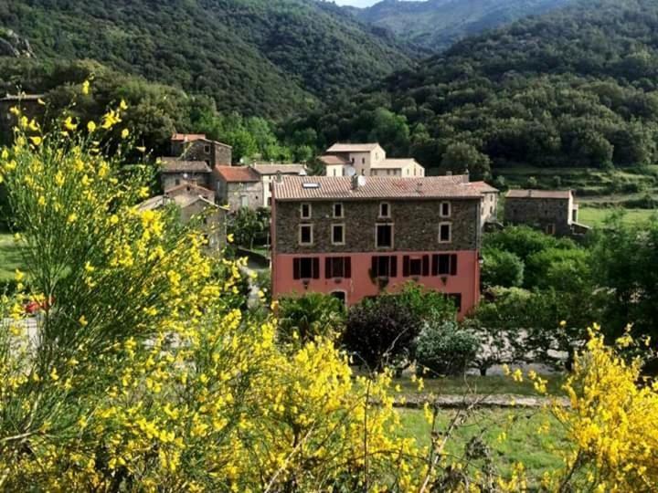 Auberge Cevenole Valleraugue Buitenkant foto